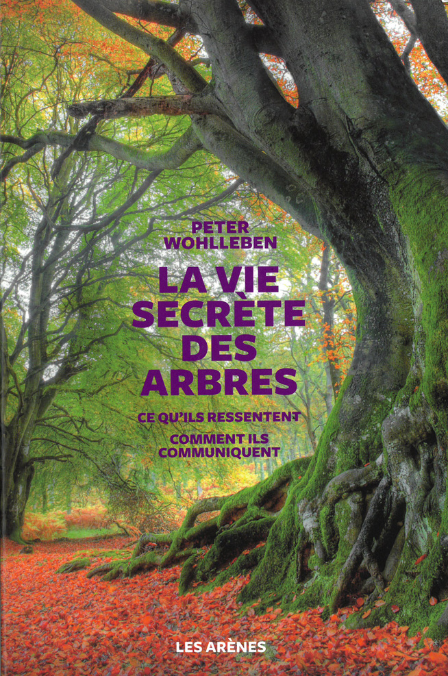 La vie secrète des arbres - 1.jpg